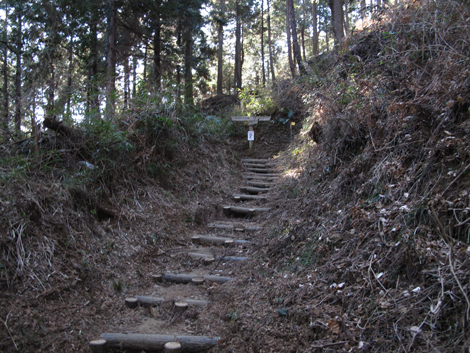 20160128hike (26)